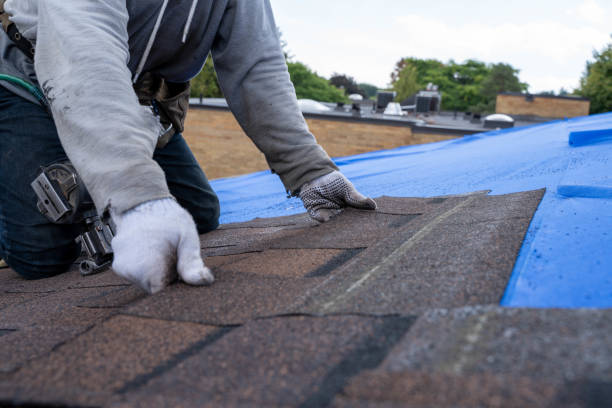 Best Metal Roofing Contractor  in Kure Beach, NC